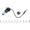 Лампа H3 12V 55W PK22s Super Whitet 20103W + 1 T10 1LED 12V АКЦИЯ