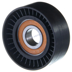 Ролик натяжителя Модель-3302 дв. 405 ЕВРО-3 (6203 RS)(40524.1308080-10) (г.Н.Новгород)