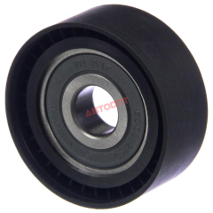 Ролик натяжителя Модель-3302 дв. 405 ЕВРО-3 усиленный (40524.1308080-10) (г.Н.Новгород)